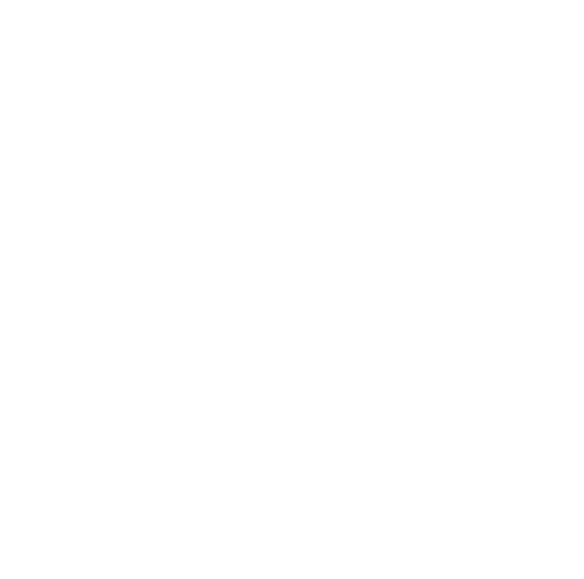 Nesaj Al Sadan logo